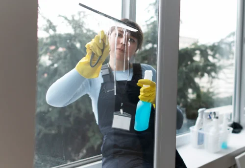 Nettoyage de vitres intérieures et extérieures à Issé